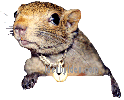 squirrelstar